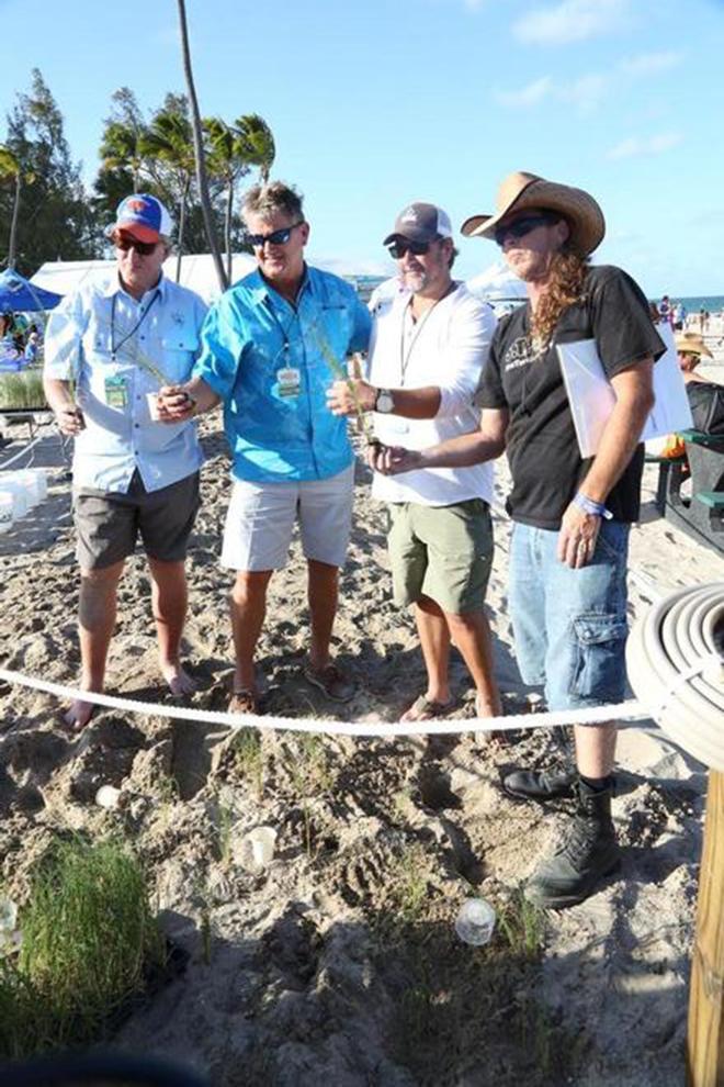 (Left-to-Right) Steve Stock, President of Guy Harvey Inc. and Guy Harvey Ocean Foundation; Dr. Guy Harvey; Chris Stacey, founder Rock the Ocean Foundation; and Richard WhiteCloud from STOP, turtle conservation group; planting sea grass on Fort Lauderdale beach. © George Schellenger